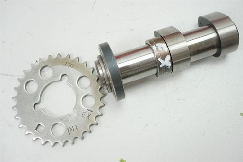 Aprilia etv 1000 - 1000, capo